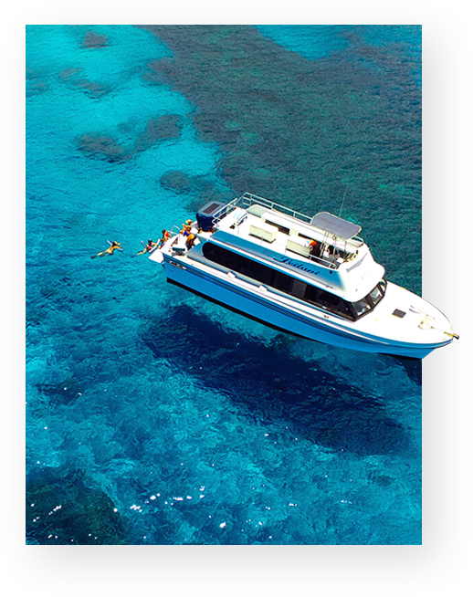 Private Maui Snorkeling Boat Tours