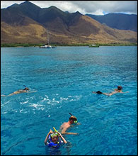 Maui Snorkel Tour to Turtle Town features SNUBA.